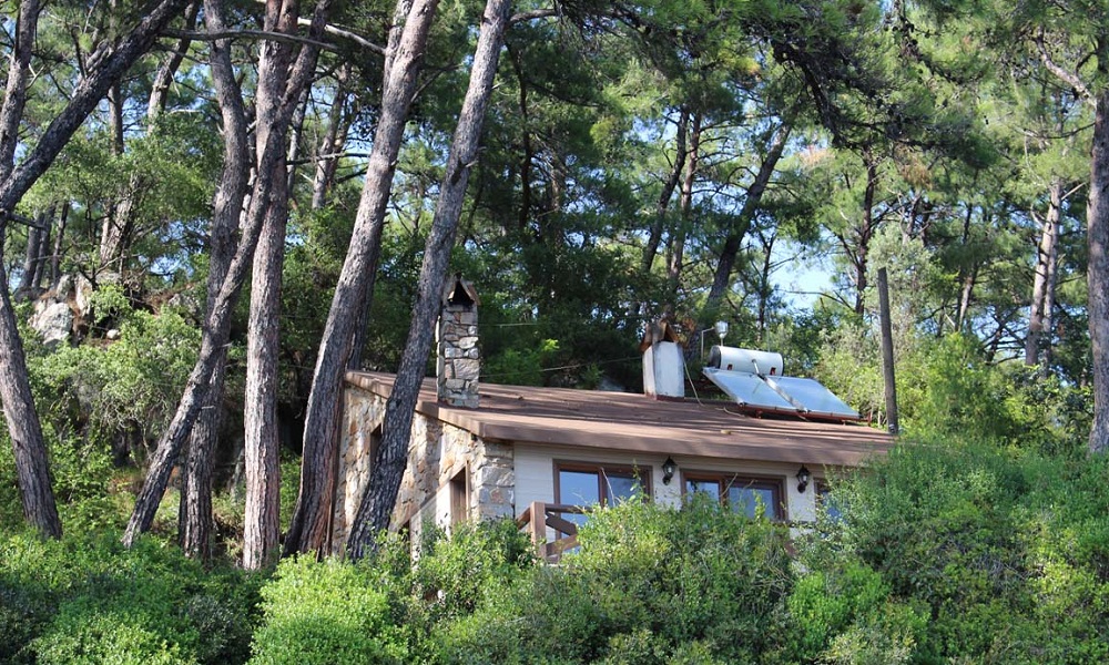 Doğayla İç İçe